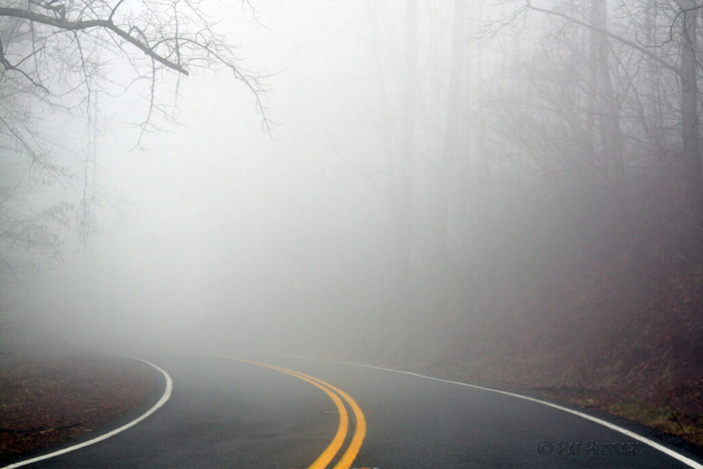 4 راهکار برای رانندگی در هوای مه آلود